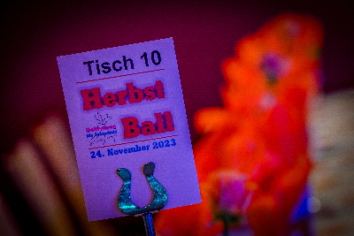 20231124-20231124-DSC_0642